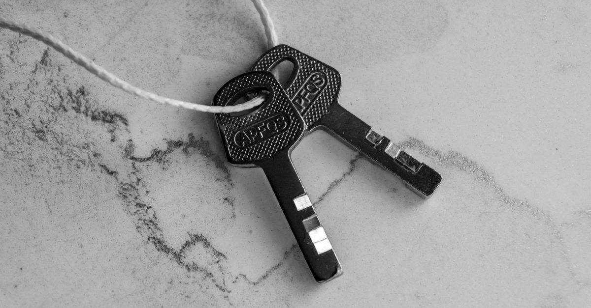 Understanding Master Key System Terminology Before You Build One — Chesapeake Pro Locksmith